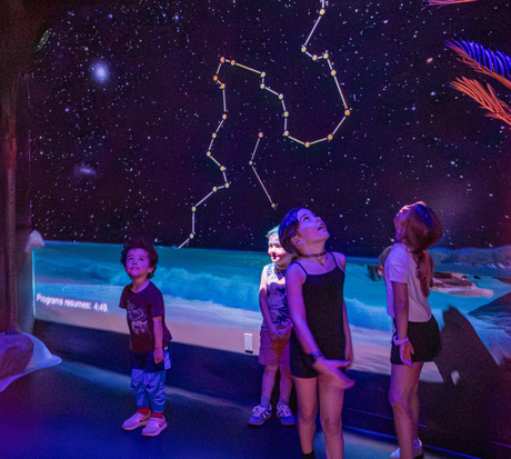 Flandrau planetarium